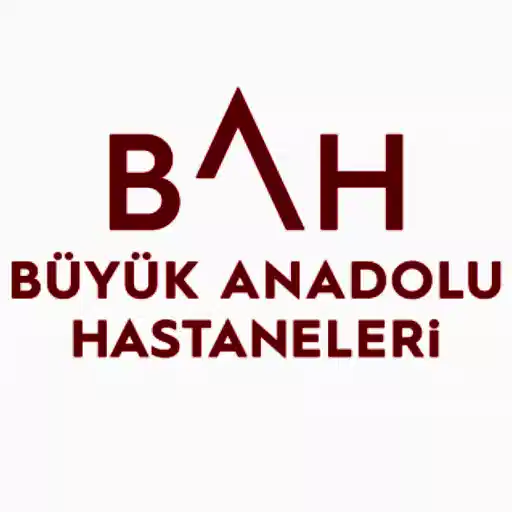 samsun büyük anadolu hastaneleri logo